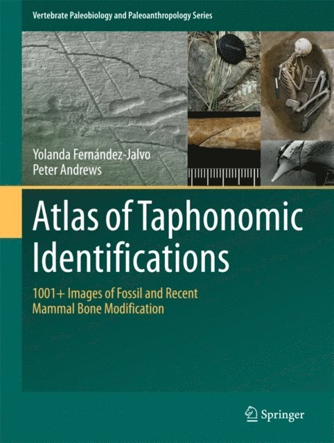 Peter Andrews, Yolanda Fernandez-Jalvo - Atlas of Taphonomic Identifications, E-bok