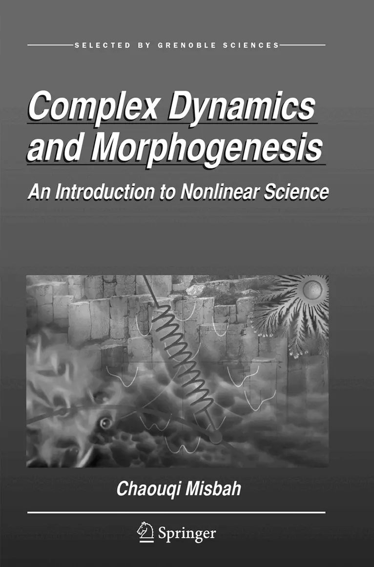 Chaouqi Misbah - Complex Dynamics and Morphogenesis, Häftad. Tillgänglighet: Lägg i varukorg