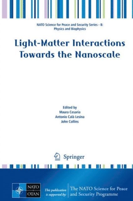 John Collins, Antonio Cala Lesina, Maura Cesaria - Light-Matter Interactions Towards the Nanoscale, E-bok