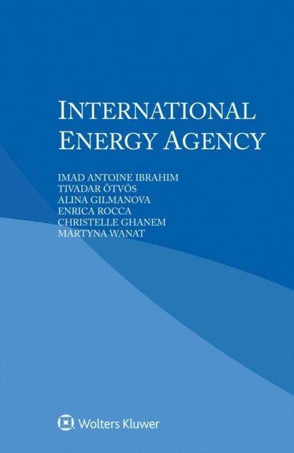Martyna Wanat, Christelle Ghanem, Enrica Rocca, Alina Gilmanova, Tivadar Otvos, Imad Antoine Ibrahim - International Energy Agency, E-bok