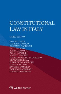 Valerio Onida, Marilisa D'Amico, Costanza Nardocci - Constitutional Law in Italy, Häftad. Tillgänglighet: Lägg i varukorg