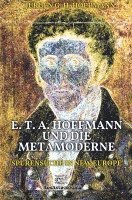 Jürgen G. H. Hoppmann - E. T. A. Hoffmann und die Metamoderne, Häftad