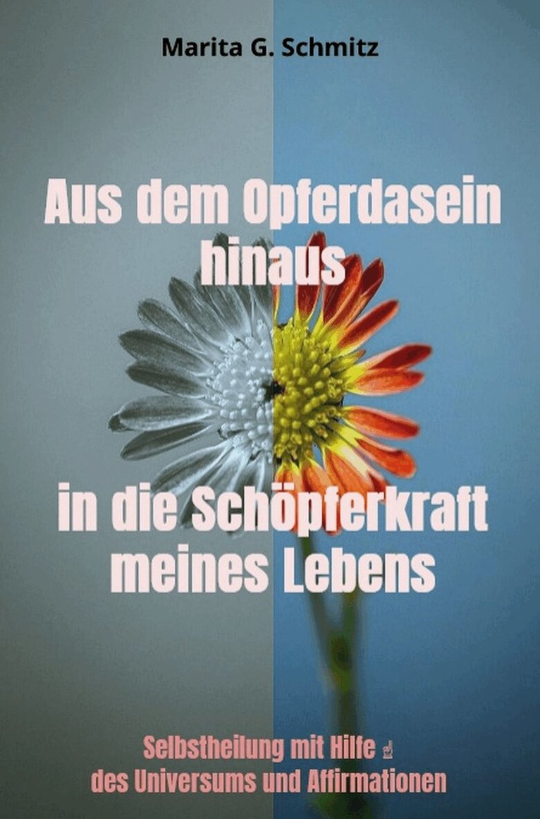 Marita G. Schmitz - Aus dem Opferdasein hinaus in die Schöpferkraft - meines Lebens, Häftad