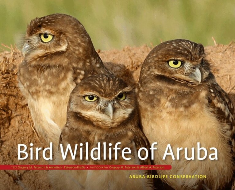 Greg Peterson - Bird Wildlife of Aruba, Inbunden