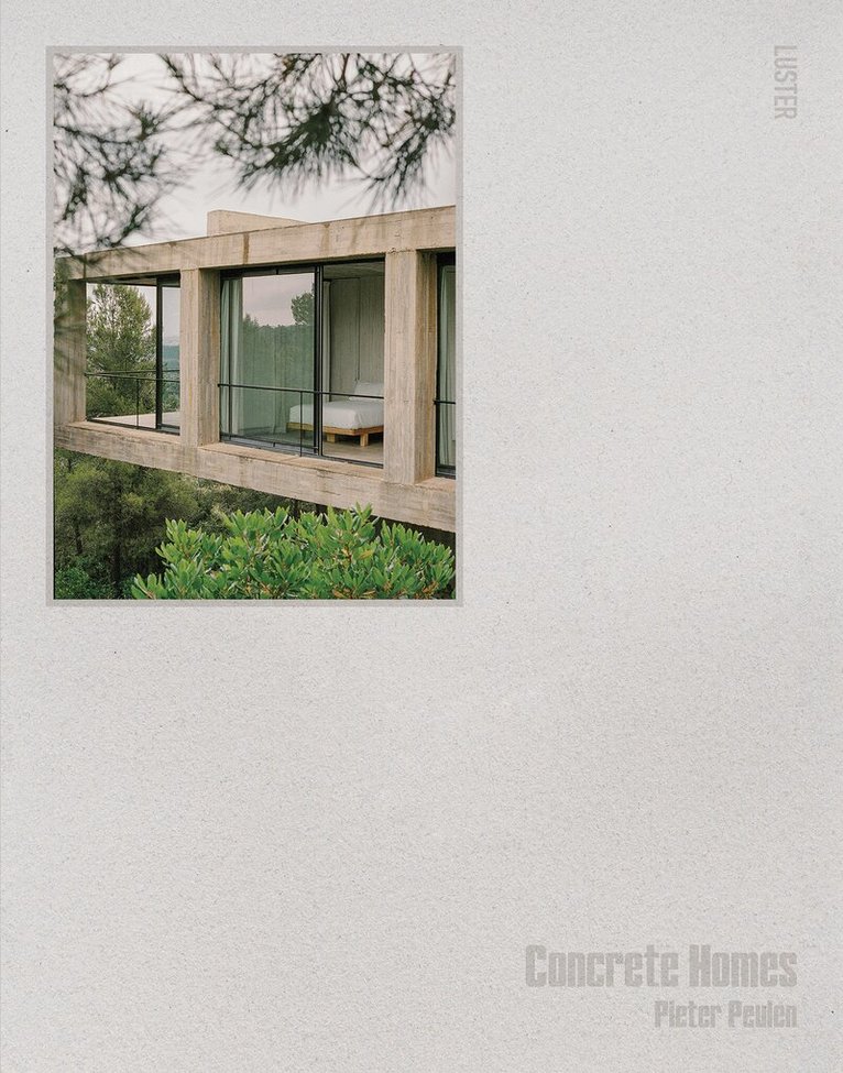 Pieter Peulen - Concrete Homes, Inbunden