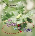 Von der Eichel bis zur Eiche