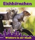 Eichhrnchen