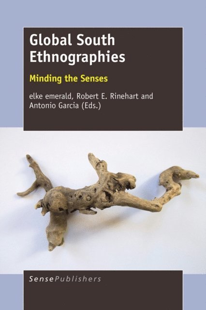Antonio Garcia, Robert E Rinehart, elke emerald - Global South Ethnographies, E-bok