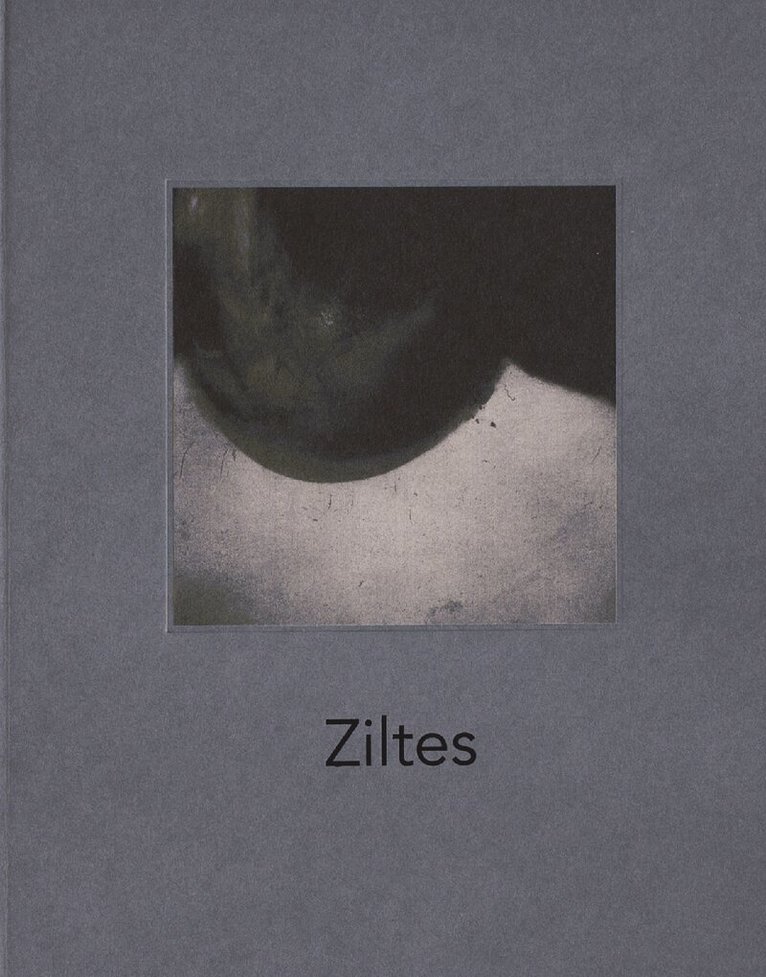 Bernadette Messiaen - Ziltes, Inbunden