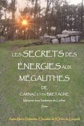 LES SECRETS DES NERGIES AUX MGALITHES DE CARNAC ET EN BRETAGNE - Mesurer avec l'antenne de Lecher - Suite