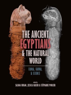 Salima Ikram, Jessica Kaiser, Stéphanie Porcier - Ancient Egyptians and the Natural World, Häftad