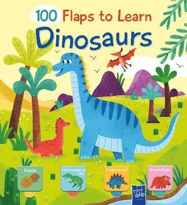 Dinosaurs, Kartonnage