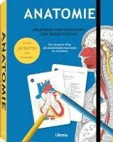 Gary Sacks - Anatomie - Anleitung und Malkarten zum Selbststudium, Häftad. Tillgänglighet: Lägg i varukorg