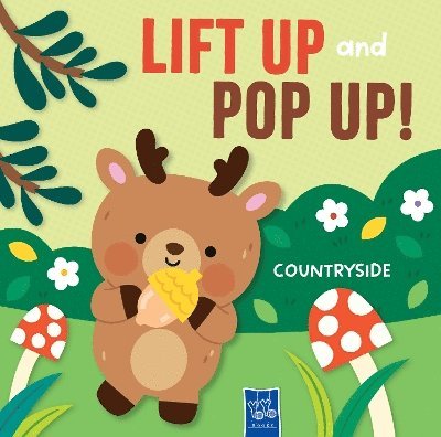 Countryside (Lift Up and Pop Up), Kartonnage