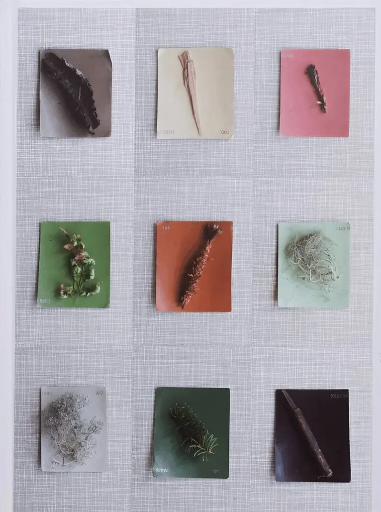Debby Huysmans - Late Spring, Inbunden. Tillgänglighet: Lägg i varukorg