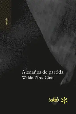 Waldo Pérez Cino - Aledaños de partida, Häftad. Tillgänglighet: Lägg i varukorg