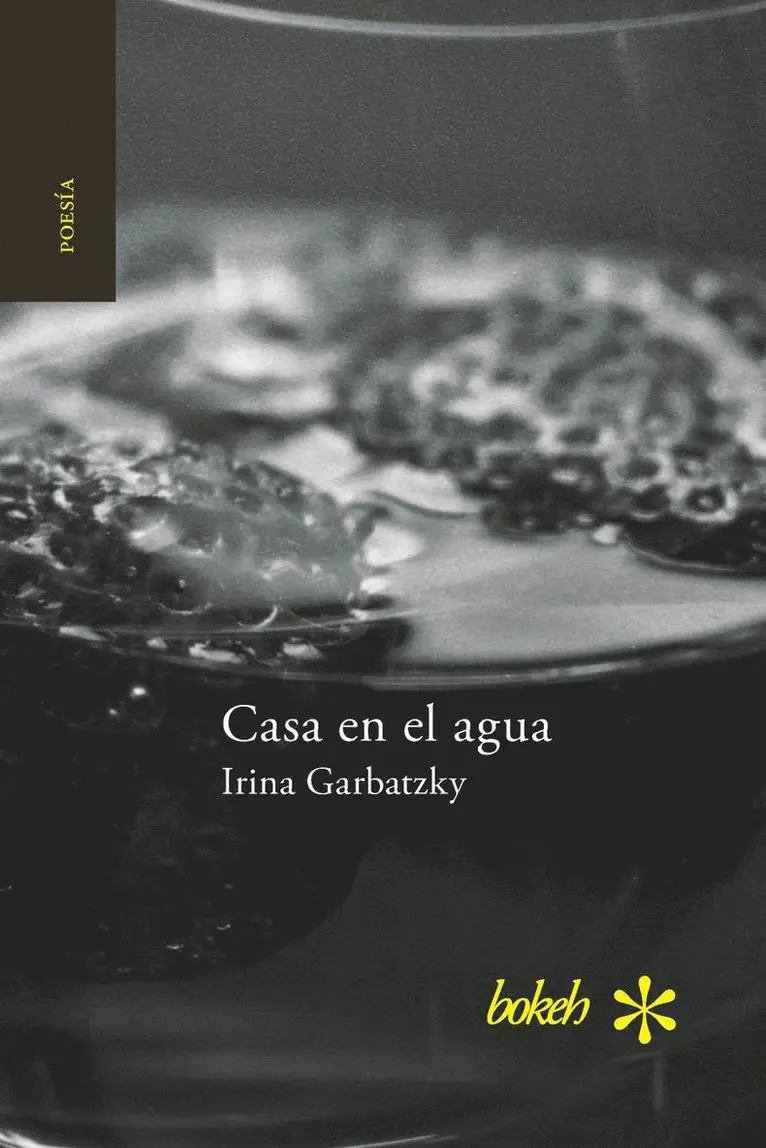 Irina Garbatzky - Casa en el agua, Häftad. Tillgänglighet: Lägg i varukorg