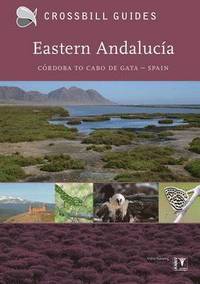 Eastern Andalucia: II