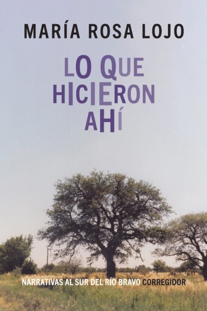 Maria Rosa Lojo - Lo que hicieron ahí, E-bok