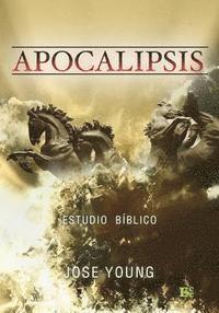 Jose Young - Apocalipsis: Nivel avanzado, Häftad