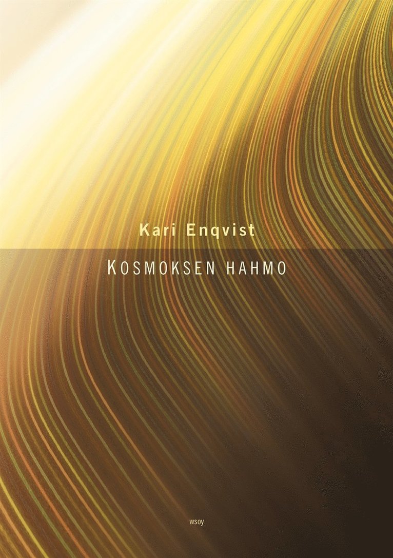Kari Enqvist - Kosmoksen hahmo, E-bok