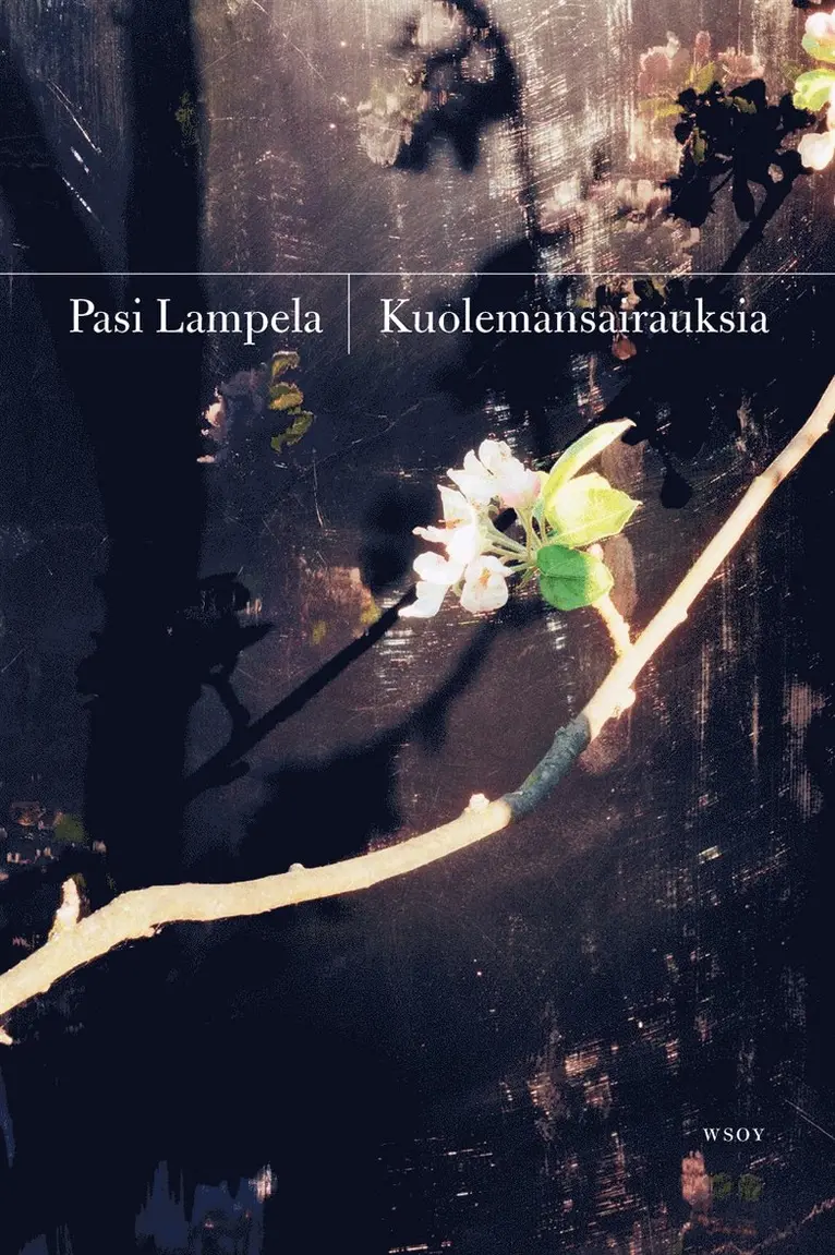 Pasi Lampela - Kuolemansairauksia, E-bok. Tillgänglighet: Lägg i varukorg