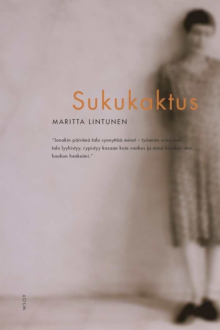 Maritta Lintunen - Sukukaktus, E-bok