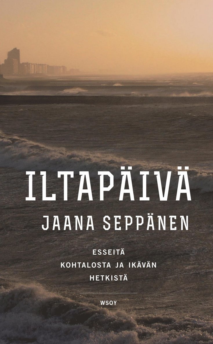 Jaana Seppänen - Iltapäivä, E-bok