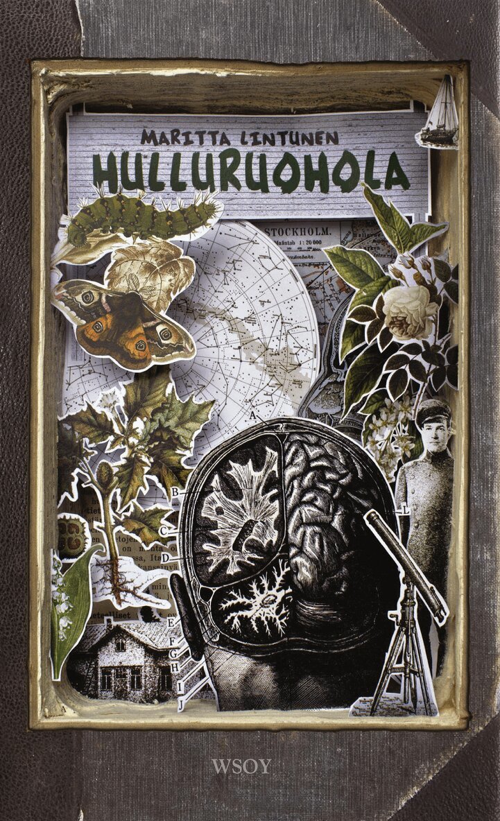 Maritta Lintunen - Hulluruohola, E-bok