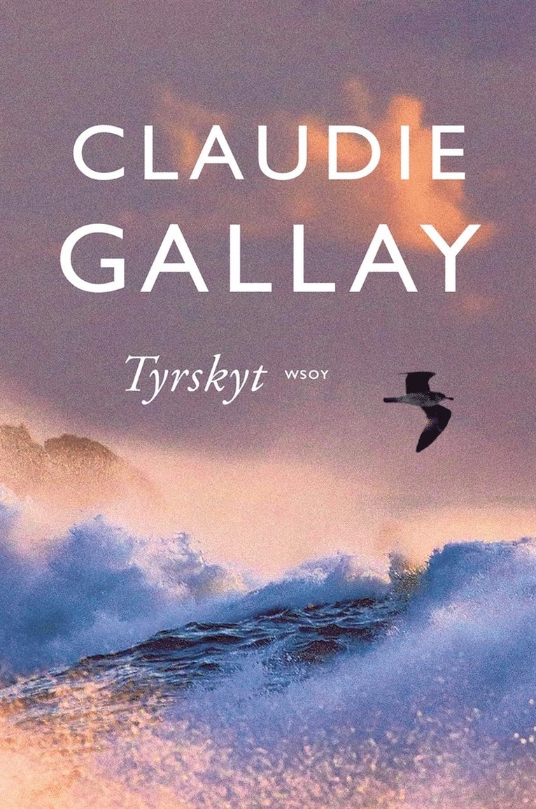 Claudie Gallay - Tyrskyt, E-bok