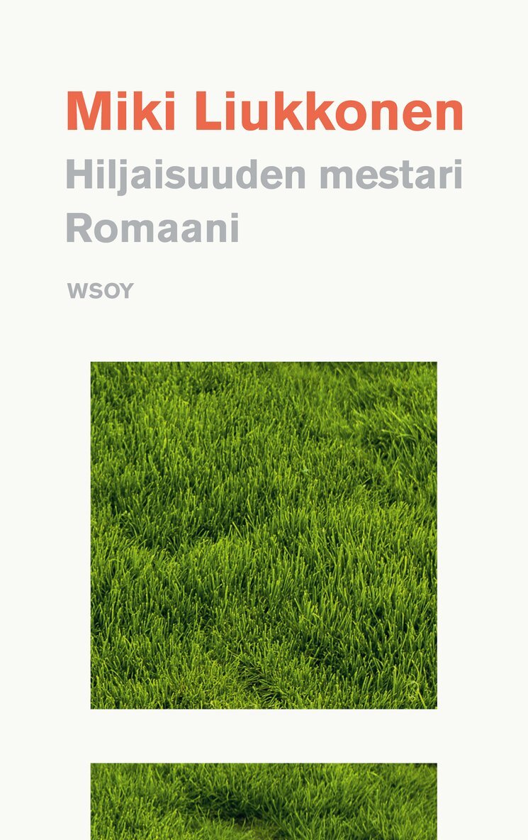 Miki Liukkonen - Hiljaisuuden mestari, E-bok