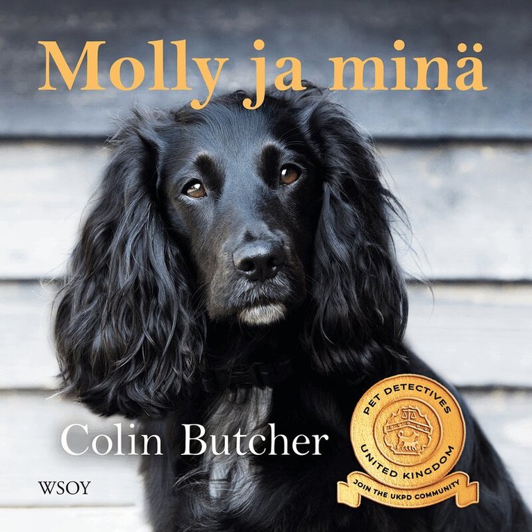 Colin Butcher - Molly ja minä, Ljudbok