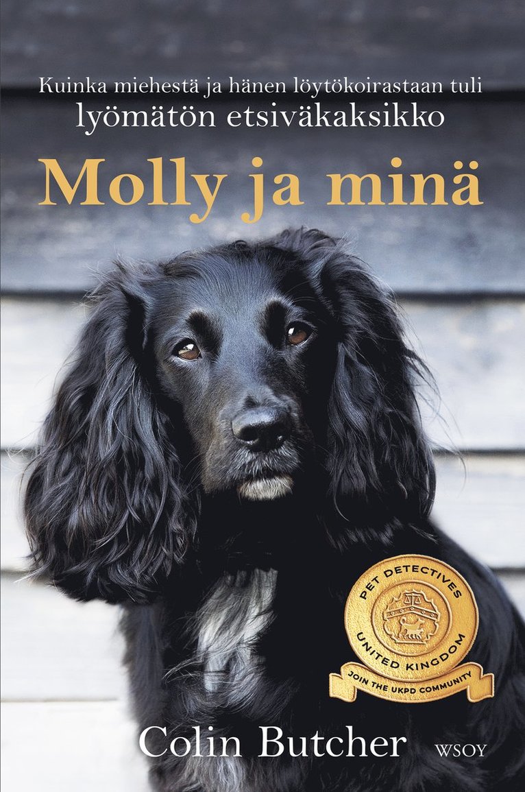 Colin Butcher - Molly ja minä, E-bok