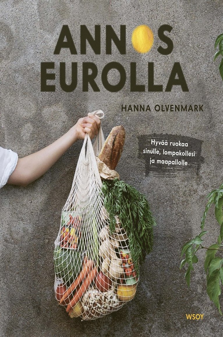 Hanna Olvenmark - Annos eurolla, E-bok