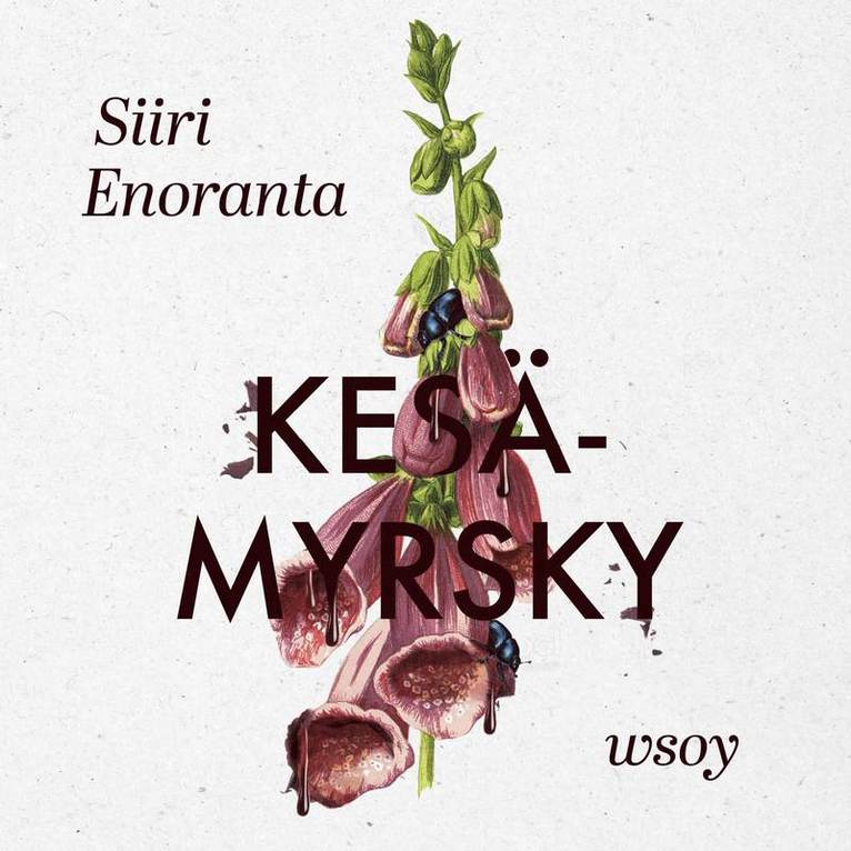 Siiri Enoranta - Kesämyrsky, Ljudbok