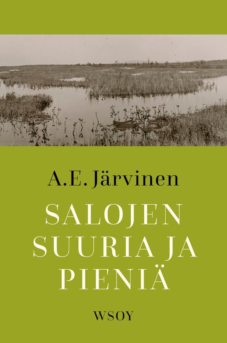 A. E. Järvinen - Salojen suuria ja pieniä, E-bok