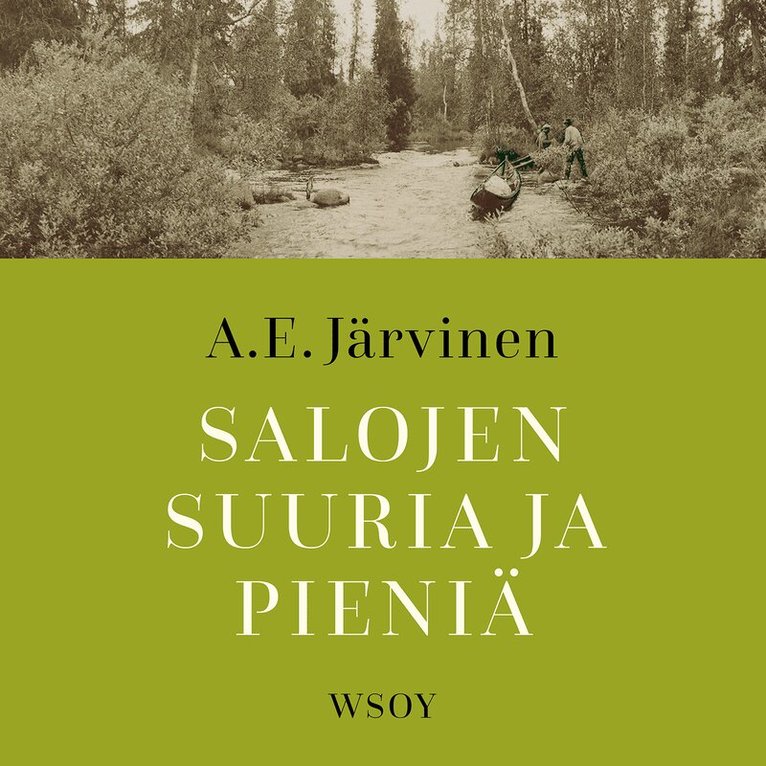 A. E. Järvinen - Salojen suuria ja pieniä, Ljudbok