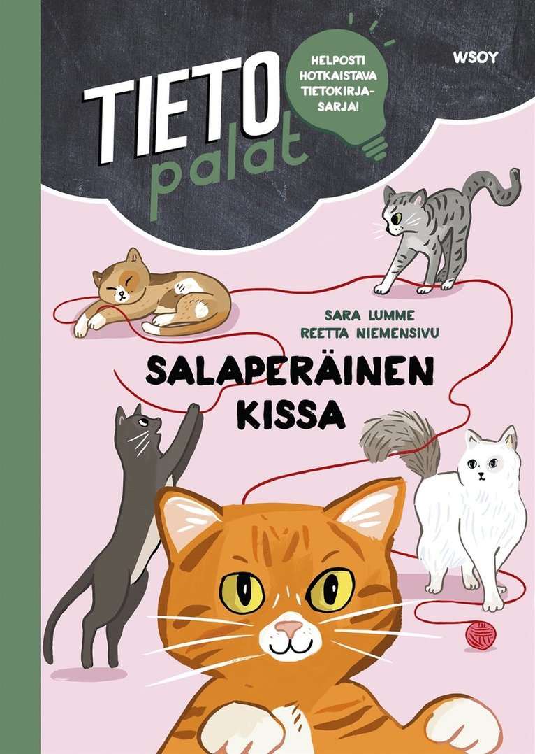 Sara Lumme - Tietopalat: Salaperäinen kissa, E-bok