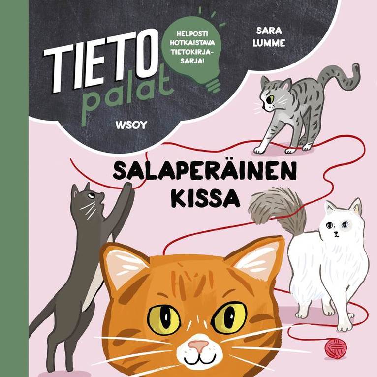 Sara Lumme - Tietopalat: Salaperäinen kissa, Ljudbok