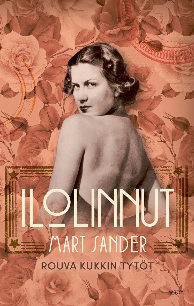 Mart Sander - Ilolinnut, E-bok