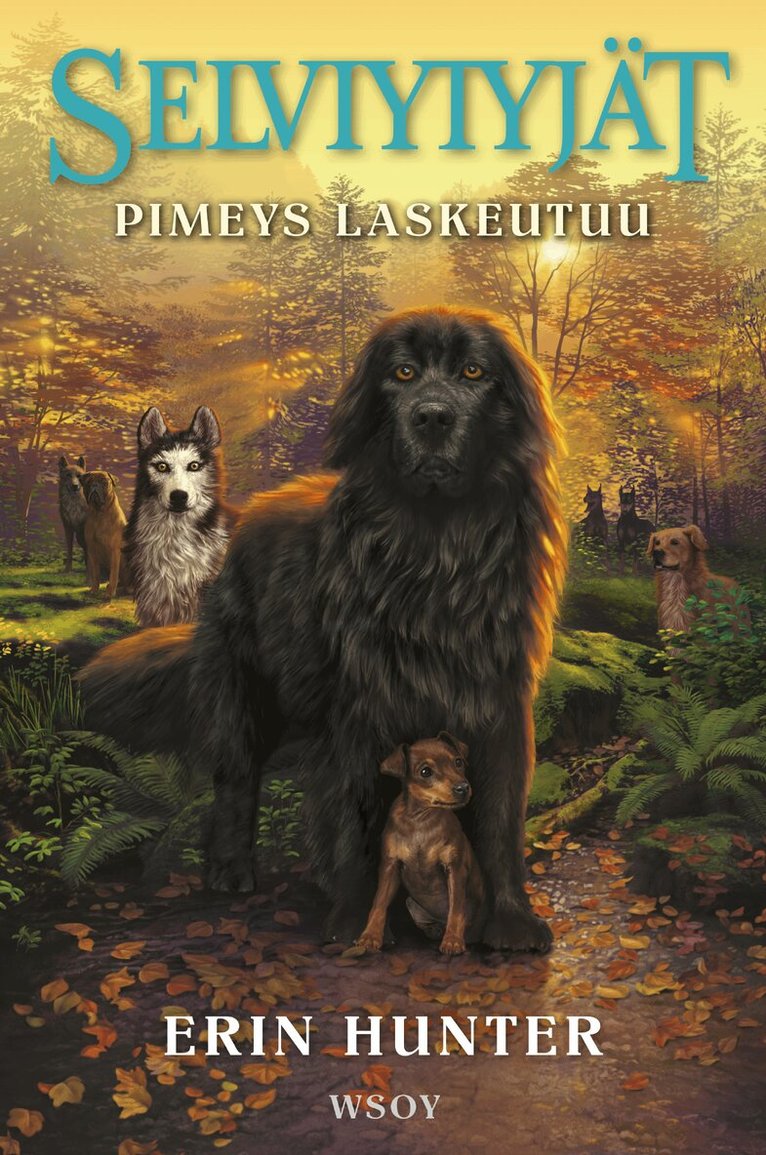 Erin Hunter - Selviytyjät: Pimeys laskeutuu, E-bok