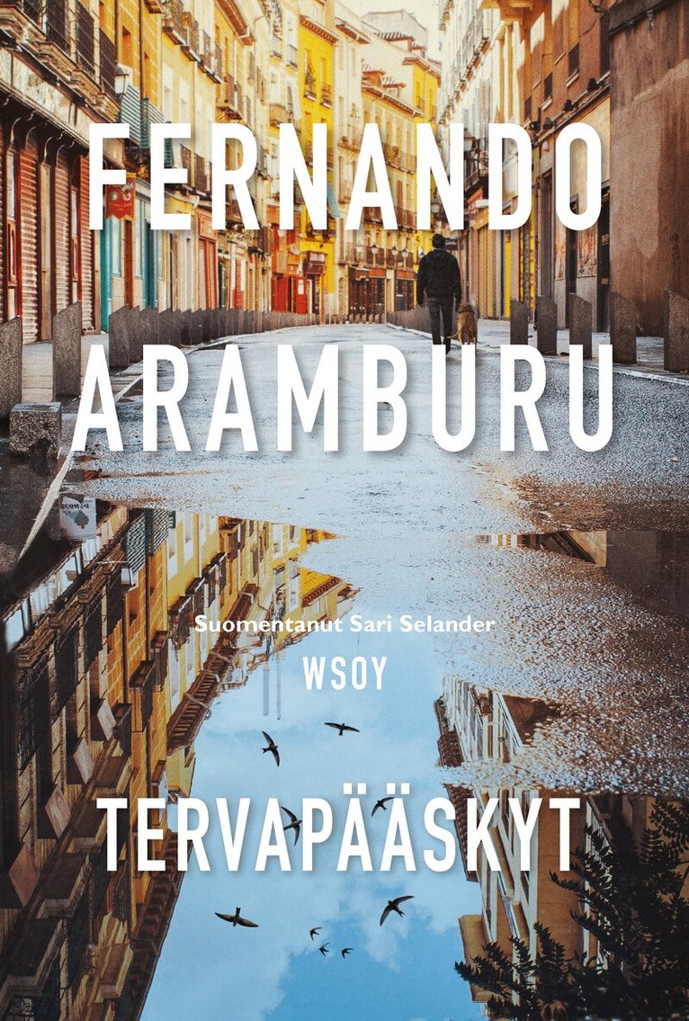 Fernando Aramburu - Tervapääskyt, E-bok