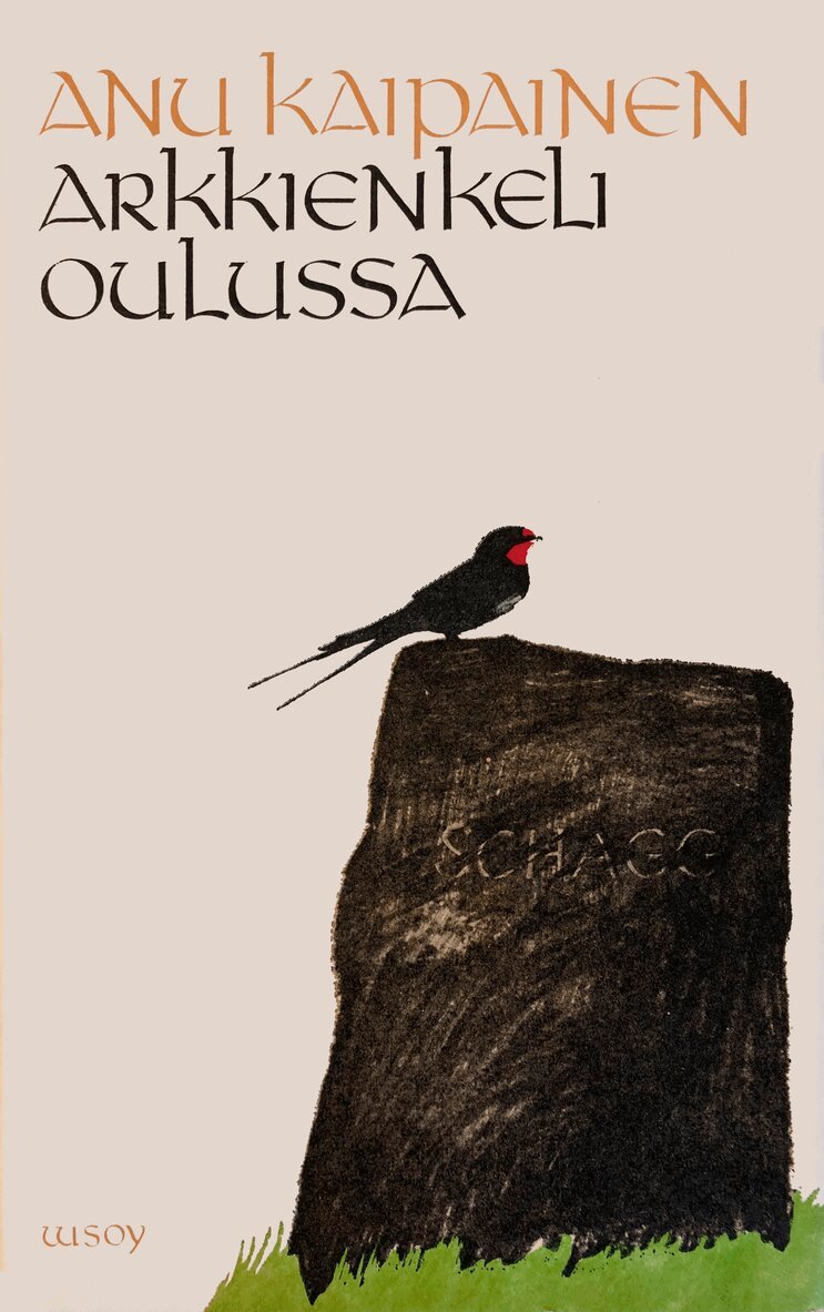 Anu Kaipainen - Arkkienkeli Oulussa, E-bok