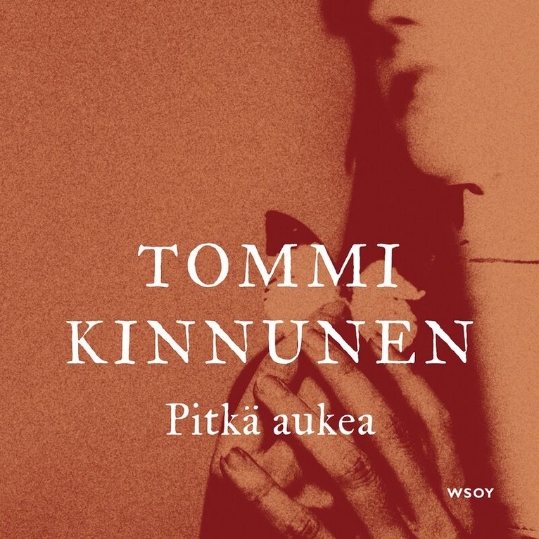 Tommi Kinnunen - Pitkä aukea, Ljudbok