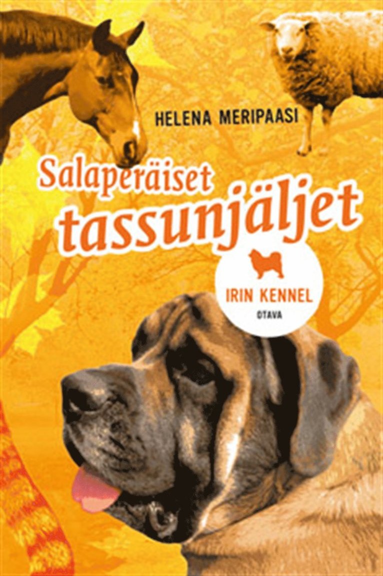 Helena Meripaasi - Salaperäiset tassunjäljet, E-bok