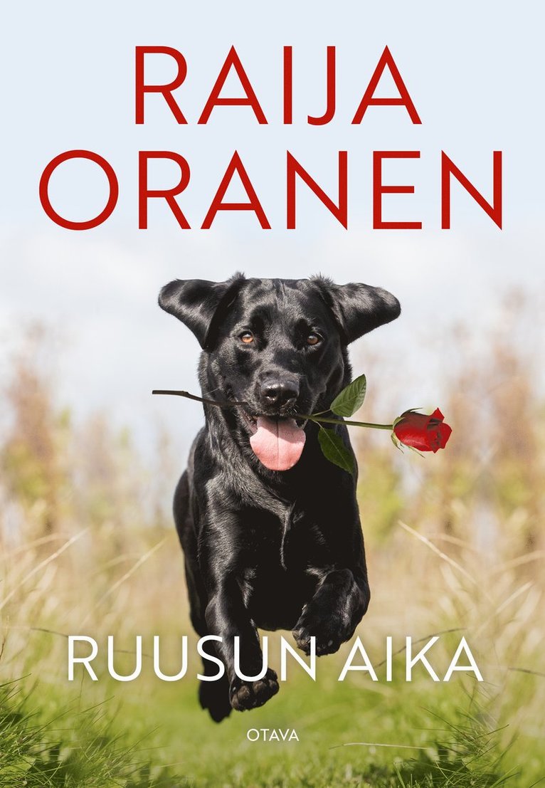 Raija Oranen - Ruusun aika, E-bok