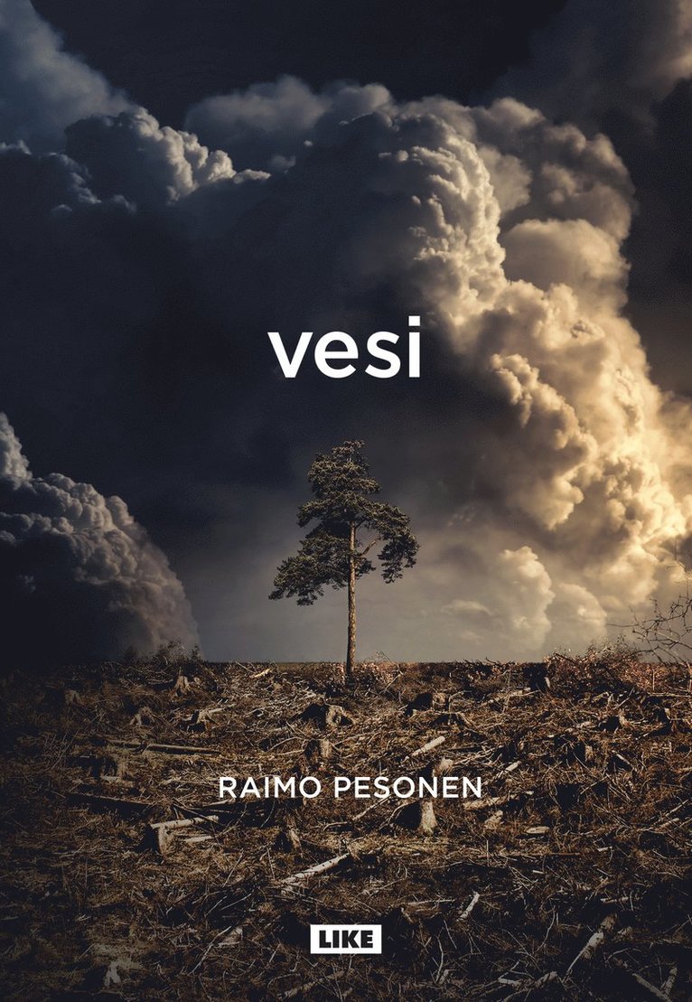 Raimo Pesonen - Vesi, E-bok