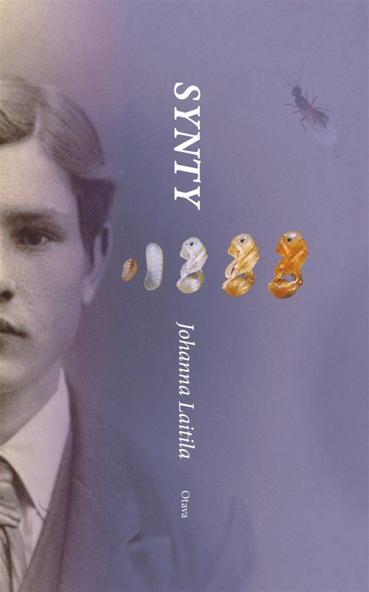 Johanna Laitila - Synty, E-bok