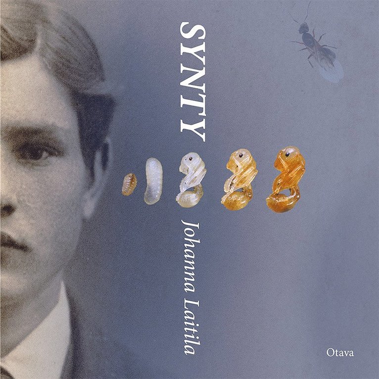 Johanna Laitila - Synty, Ljudbok