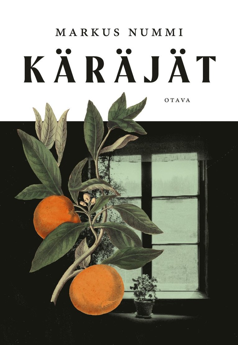 Markus Nummi - Käräjät, E-bok
